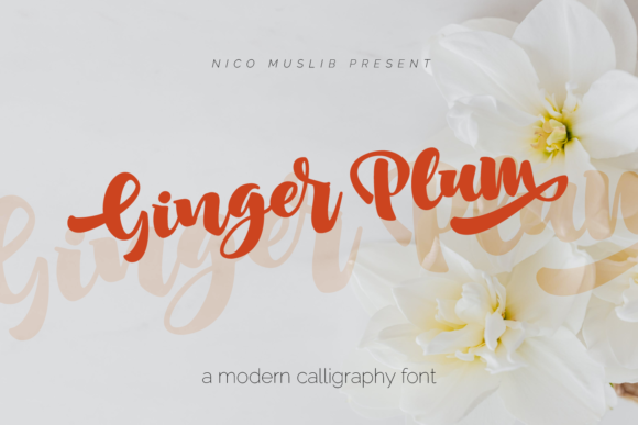 Ginger Plum Font for Professional Branding