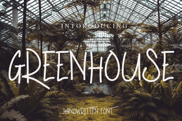 Greenhouse Font Review for Branding Projects