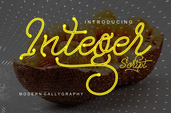 Integer: A Modern Script Font for Branding Projects