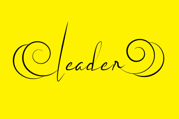Leader Script Font for Digital Marketing and Branding