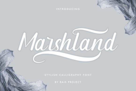 Marshland: A Handwritten Font for Modern Web Design