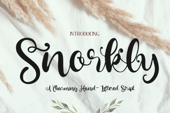 Snorkly: A Script Font for Modern Branding and Design
